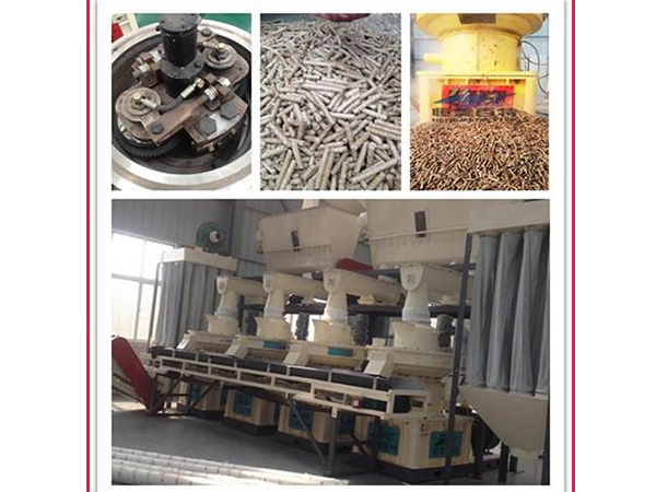 未标题-1_0021_ia_10063